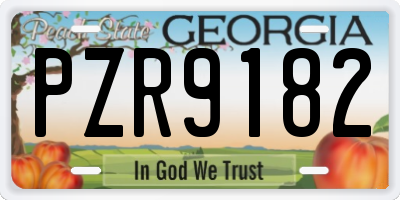 GA license plate PZR9182