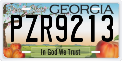 GA license plate PZR9213