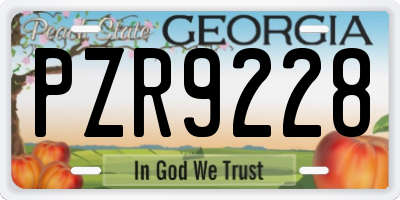 GA license plate PZR9228