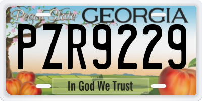 GA license plate PZR9229