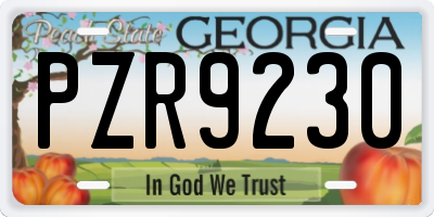 GA license plate PZR9230