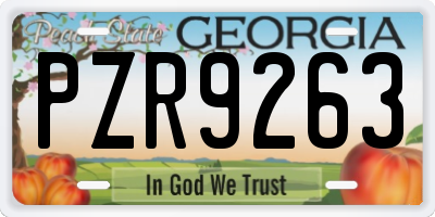 GA license plate PZR9263