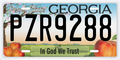 GA license plate PZR9288