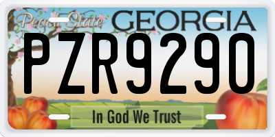 GA license plate PZR9290