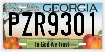 GA license plate PZR9301