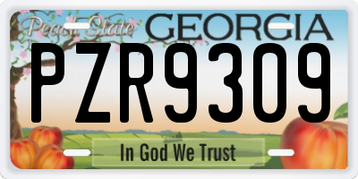 GA license plate PZR9309