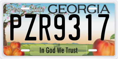 GA license plate PZR9317
