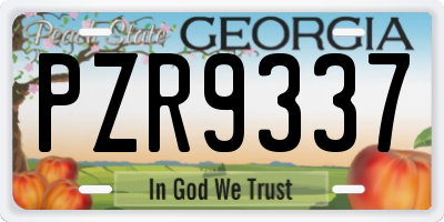 GA license plate PZR9337