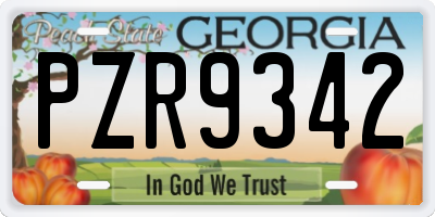 GA license plate PZR9342