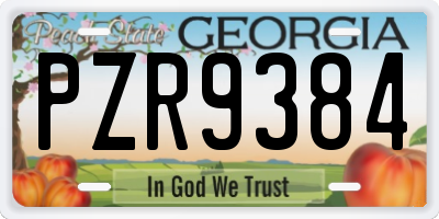 GA license plate PZR9384