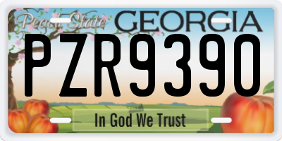 GA license plate PZR9390
