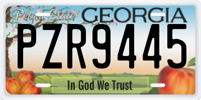 GA license plate PZR9445