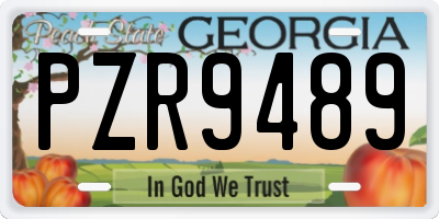 GA license plate PZR9489