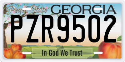 GA license plate PZR9502