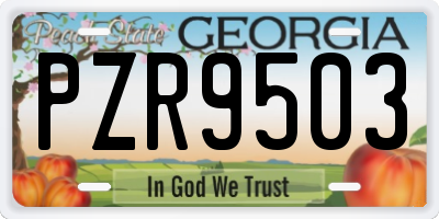 GA license plate PZR9503