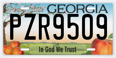 GA license plate PZR9509