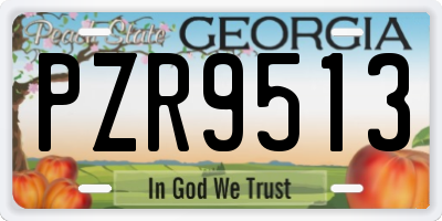 GA license plate PZR9513