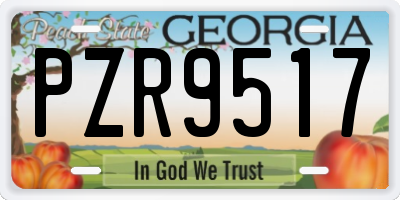 GA license plate PZR9517