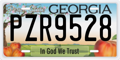 GA license plate PZR9528