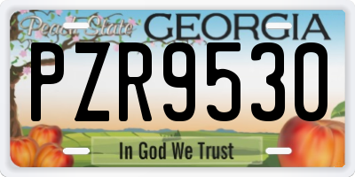 GA license plate PZR9530