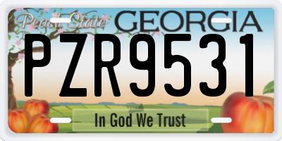 GA license plate PZR9531