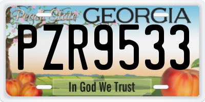 GA license plate PZR9533