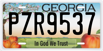GA license plate PZR9537