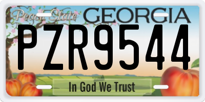 GA license plate PZR9544