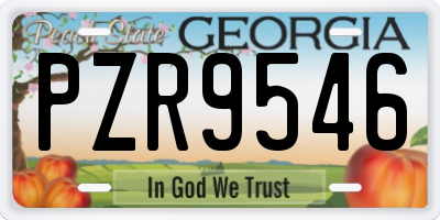 GA license plate PZR9546