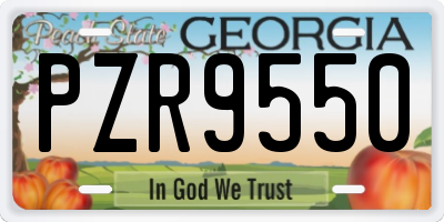 GA license plate PZR9550