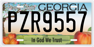 GA license plate PZR9557