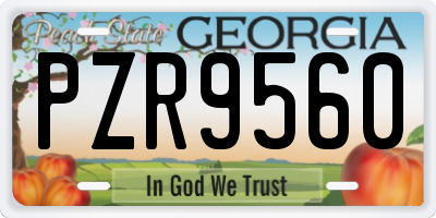 GA license plate PZR9560