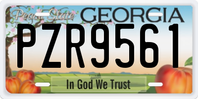 GA license plate PZR9561