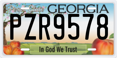 GA license plate PZR9578