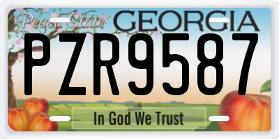 GA license plate PZR9587