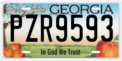 GA license plate PZR9593