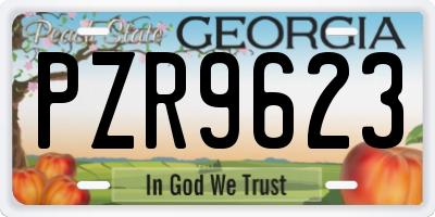 GA license plate PZR9623