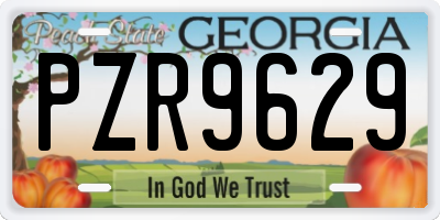 GA license plate PZR9629