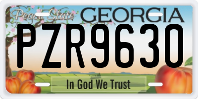 GA license plate PZR9630