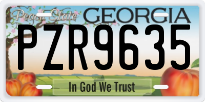 GA license plate PZR9635