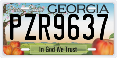 GA license plate PZR9637