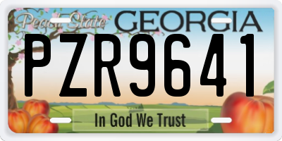 GA license plate PZR9641