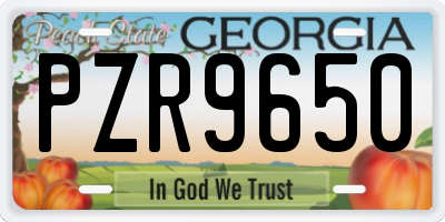 GA license plate PZR9650