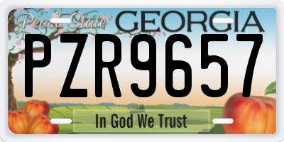 GA license plate PZR9657