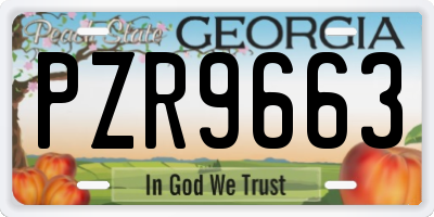 GA license plate PZR9663