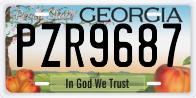 GA license plate PZR9687