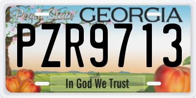 GA license plate PZR9713