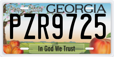 GA license plate PZR9725