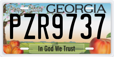 GA license plate PZR9737