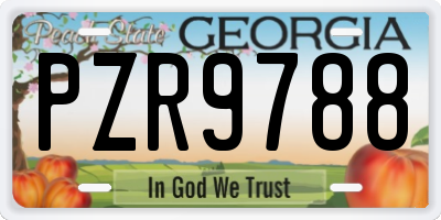 GA license plate PZR9788